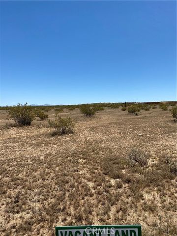 900 Fetlock, Landers, CA 92285