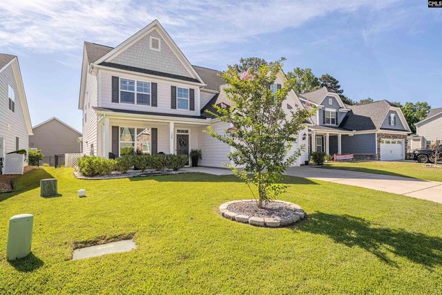 320 Brenthaven Drive, Chapin, SC 29036
