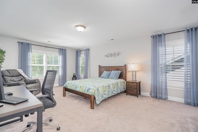 320 Brenthaven Drive, Chapin, SC 29036