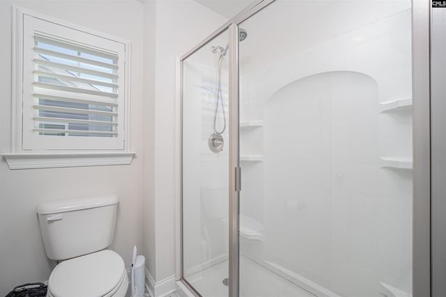 320 Brenthaven Drive, Chapin, SC 29036