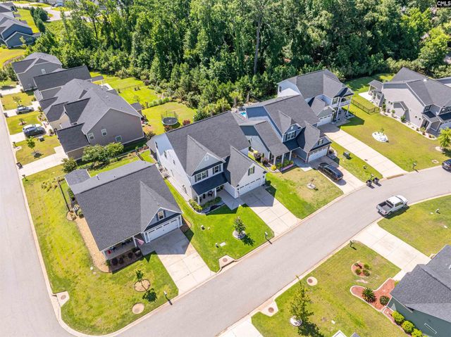 320 Brenthaven Drive, Chapin, SC 29036