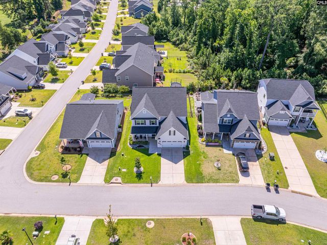 320 Brenthaven Drive, Chapin, SC 29036