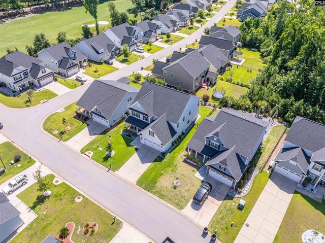 320 Brenthaven Drive, Chapin, SC 29036