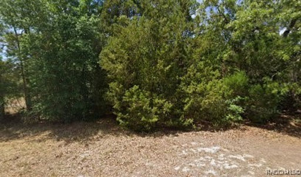 2672 S Willow Terrace, Homosassa, FL 34448