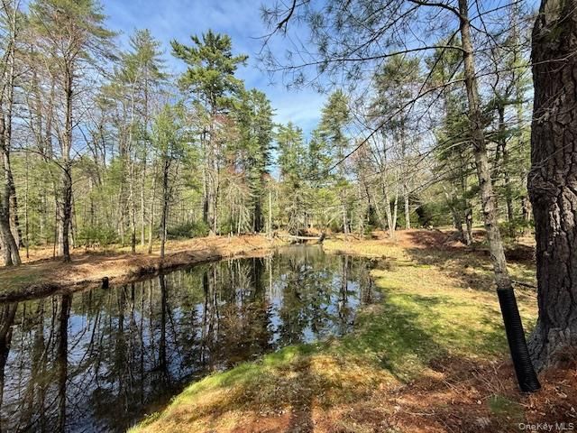 20 Reber Road, Eldred, NY 12732