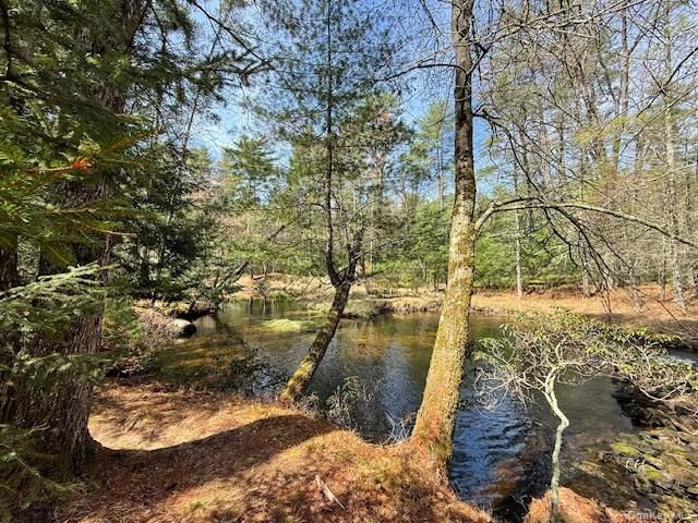 20 Reber Road, Eldred, NY 12732