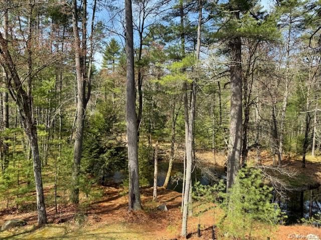 20 Reber Road, Eldred, NY 12732