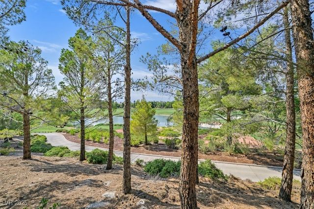 11772 CANONS BROOK Drive, Las Vegas, NV 89141