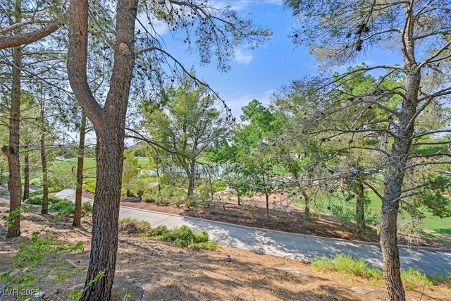 11772 CANONS BROOK Drive, Las Vegas, NV 89141