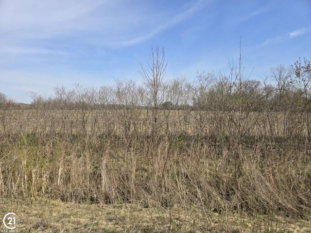 0 Meskill (Lot C) Road, Richmond, MI 48063