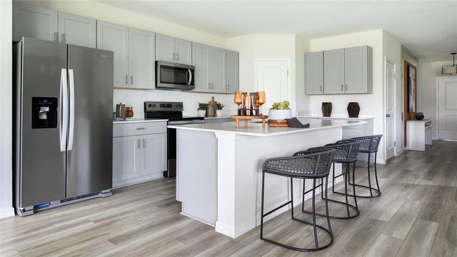 31702 BIENVILLE LANE, Wesley Chapel, FL 33545