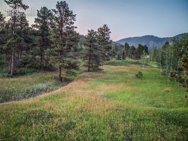 19569 E Highway 24, Woodland Park, CO 80863