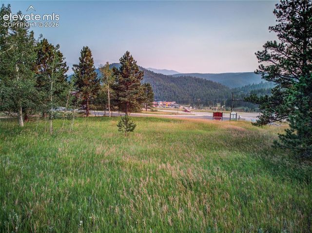 19569 E Highway 24, Woodland Park, CO 80863