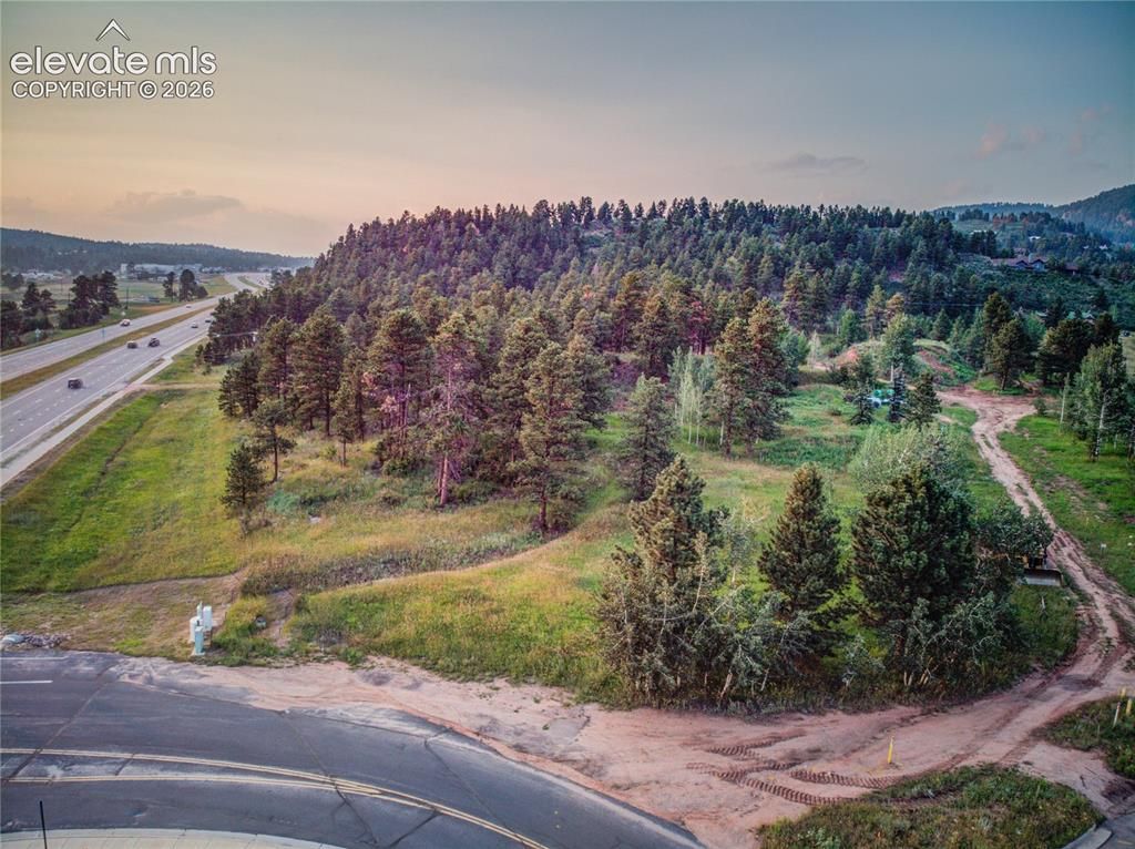 19569 E Highway 24, Woodland Park, CO 80863 — photo 2
