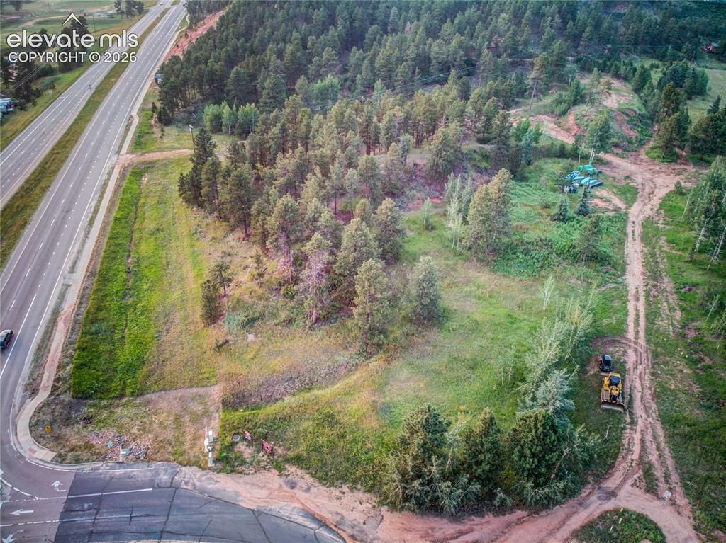 19569 E Highway 24, Woodland Park, CO 80863 — photo 3
