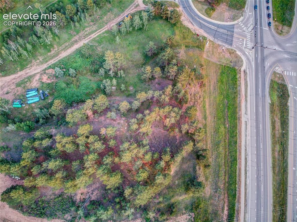 19569 E Highway 24, Woodland Park, CO 80863 — photo 5