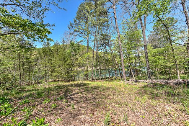 Lot 1 Eagle Cove Road, Eureka Springs, AR 72631