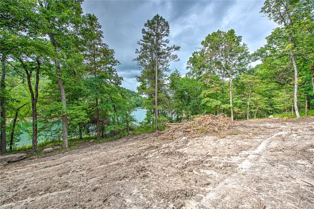 Lot 1 Eagle Cove Road, Eureka Springs, AR 72631