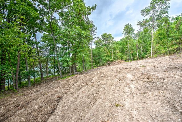 Lot 1 Eagle Cove Road, Eureka Springs, AR 72631