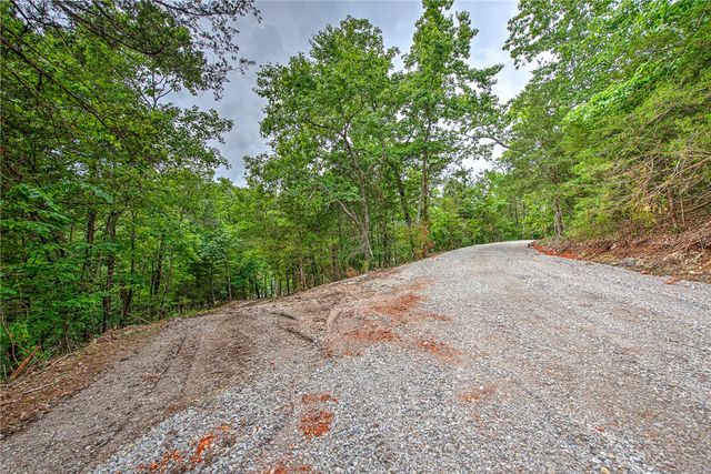 Lot 1 Eagle Cove Road, Eureka Springs, AR 72631