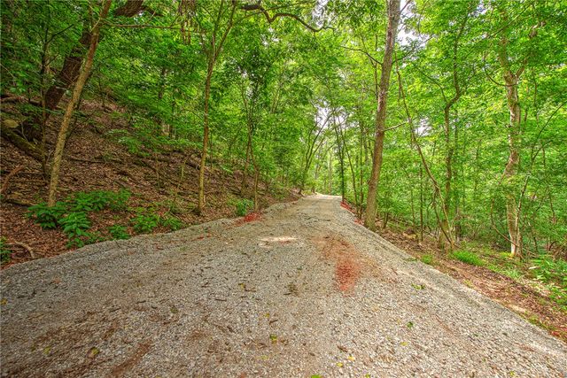 Lot 1 Eagle Cove Road, Eureka Springs, AR 72631