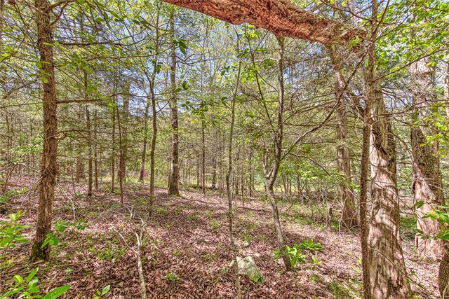 Lot 1 Eagle Cove Road, Eureka Springs, AR 72631