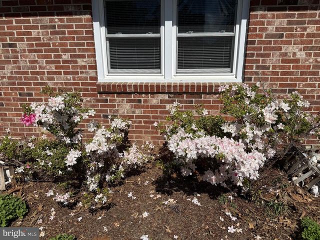 9 MERRYWEATHER DR, Cambridge, MD 21613