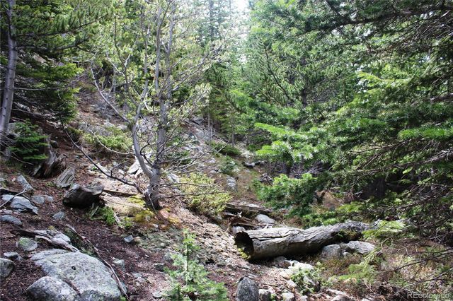 00 Mine Road, Idaho Springs, CO 80461