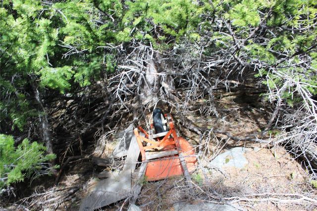 00 Mine Road, Idaho Springs, CO 80461