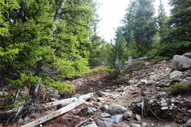 00 Mine Road, Idaho Springs, CO 80461