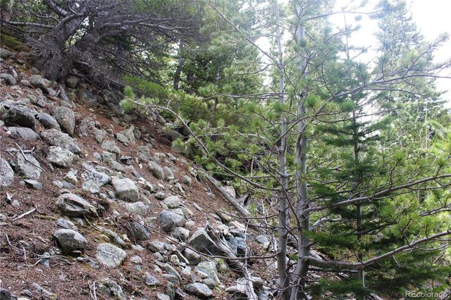 00 Mine Road, Idaho Springs, CO 80461