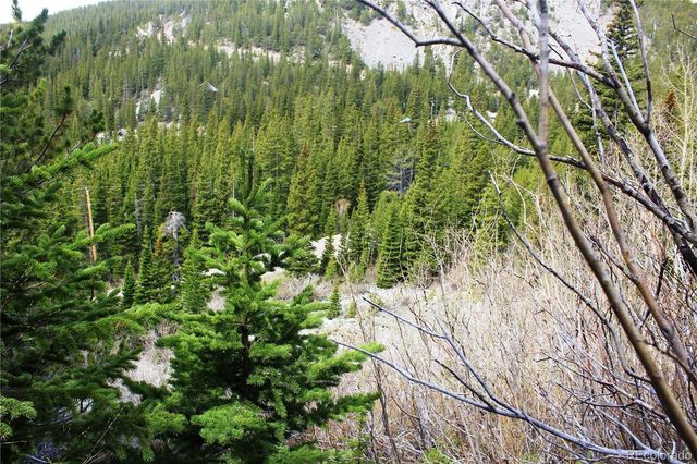 00 Mine Road, Idaho Springs, CO 80461