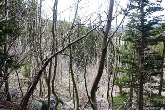 00 Mine Road, Idaho Springs, CO 80461