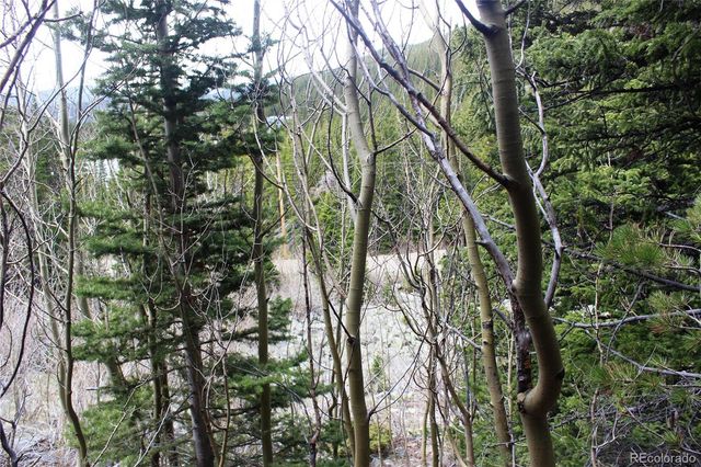 00 Mine Road, Idaho Springs, CO 80461