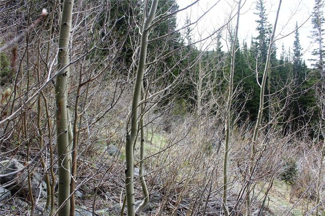 00 Mine Road, Idaho Springs, CO 80461
