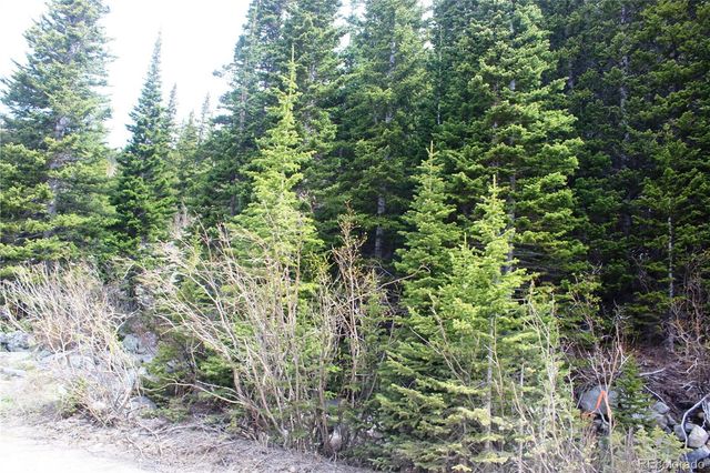 00 Mine Road, Idaho Springs, CO 80461