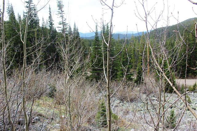 00 Mine Road, Idaho Springs, CO 80461