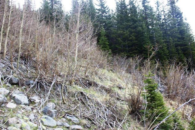 00 Mine Road, Idaho Springs, CO 80461