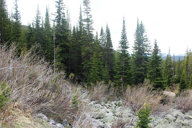 00 Mine Road, Idaho Springs, CO 80461