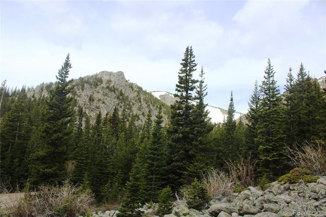 00 Mine Road, Idaho Springs, CO 80461
