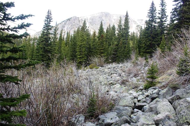 00 Mine Road, Idaho Springs, CO 80461