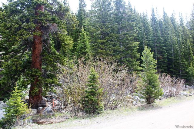 00 Mine Road, Idaho Springs, CO 80461