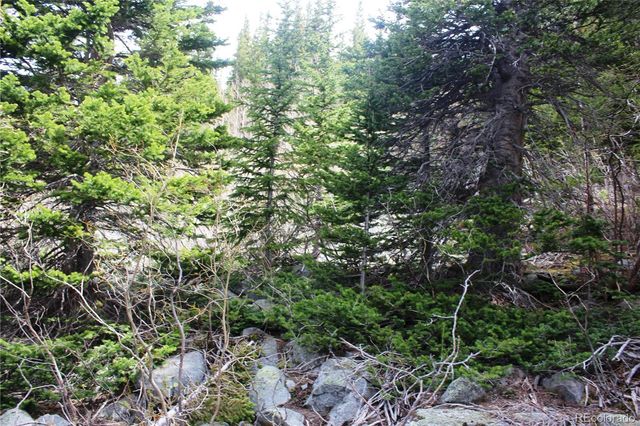 00 Mine Road, Idaho Springs, CO 80461