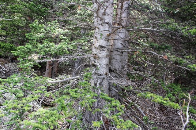 00 Mine Road, Idaho Springs, CO 80461