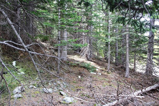 00 Mine Road, Idaho Springs, CO 80461