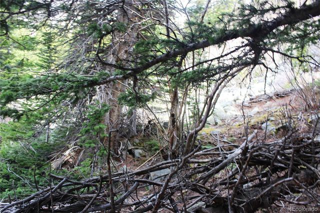 00 Mine Road, Idaho Springs, CO 80461