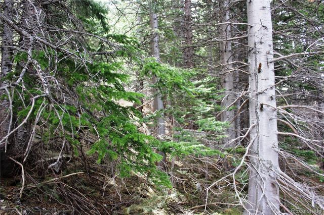00 Mine Road, Idaho Springs, CO 80461