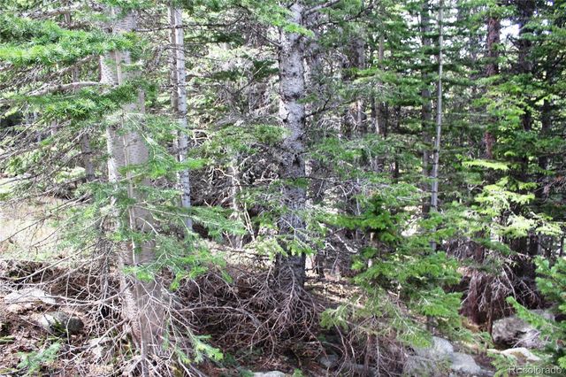 00 Mine Road, Idaho Springs, CO 80461