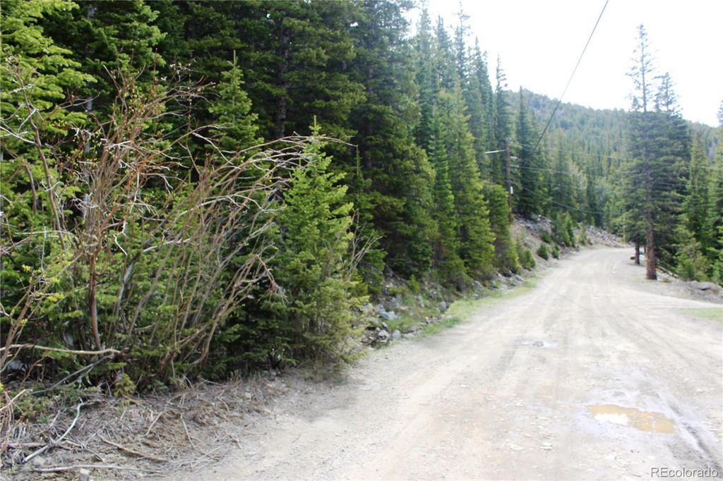 00 Mine Road, Idaho Springs, CO 80461