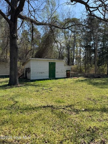 503 Casey Mill Road, Dudley, NC 28333